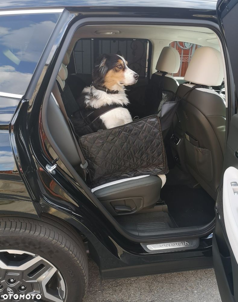 Hyundai Santa Fe 1.6 T-GDI HEV Platinum 4WD - 17