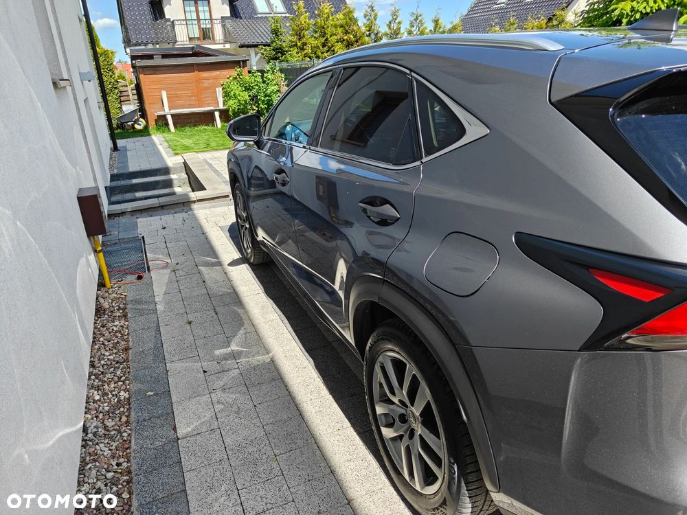 Lexus NX 200t Comfort AWD - 7