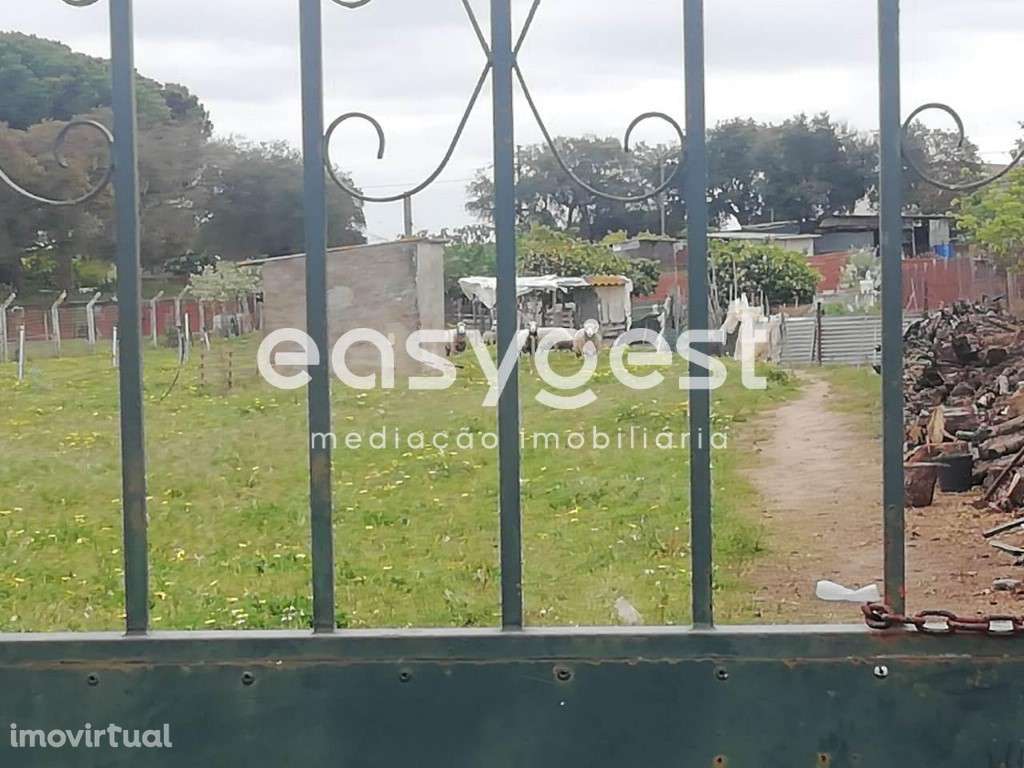 Terreno Urbano com 2693m de área localizado em Figueira dos Cavaleiros - Grande imagem: 4/6