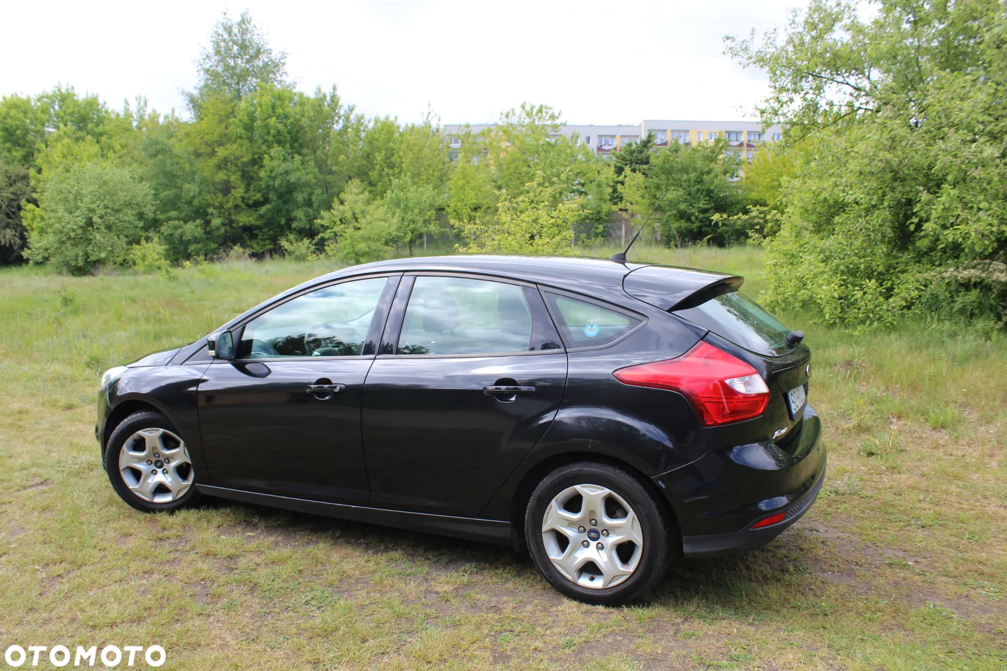 Ford Focus - 2