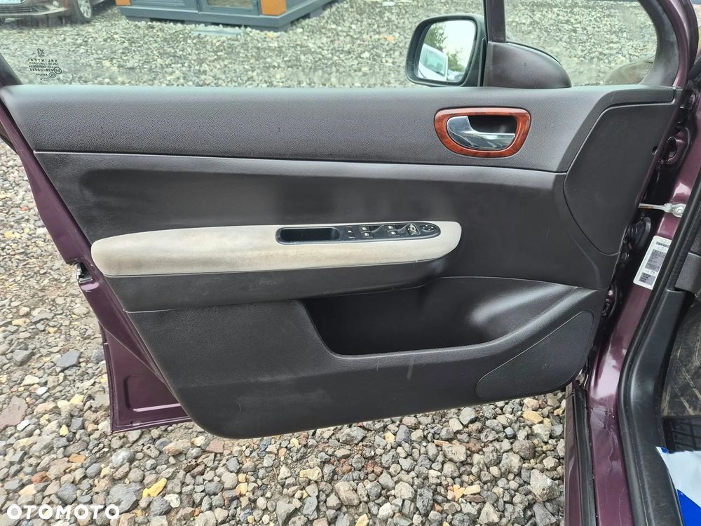 Peugeot 307 1.6 Premium - 12