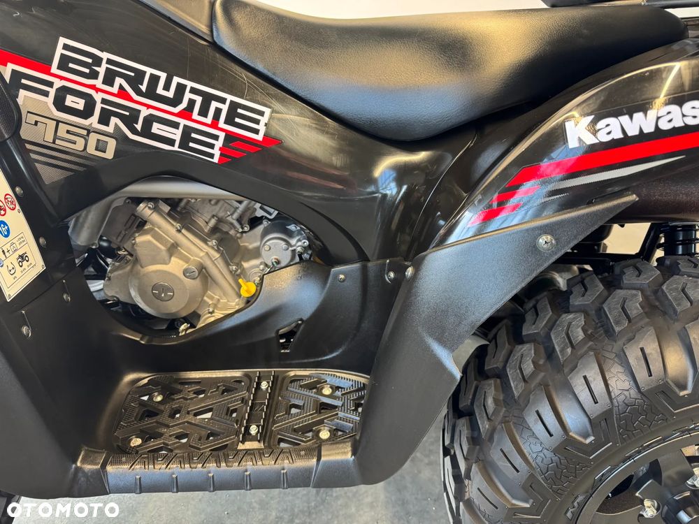 Kawasaki Brute Force - 22