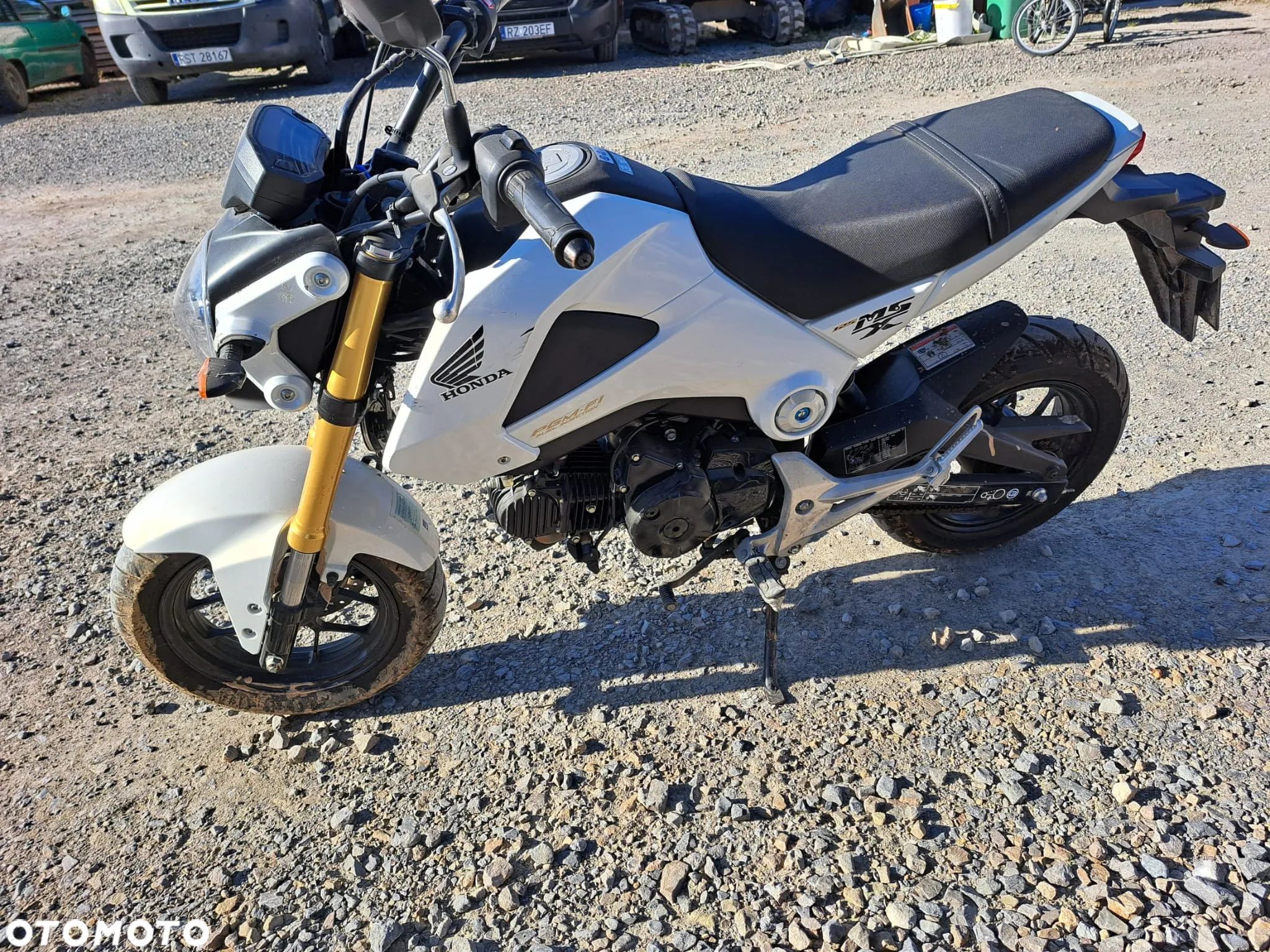 Honda MSX 125 - 1
