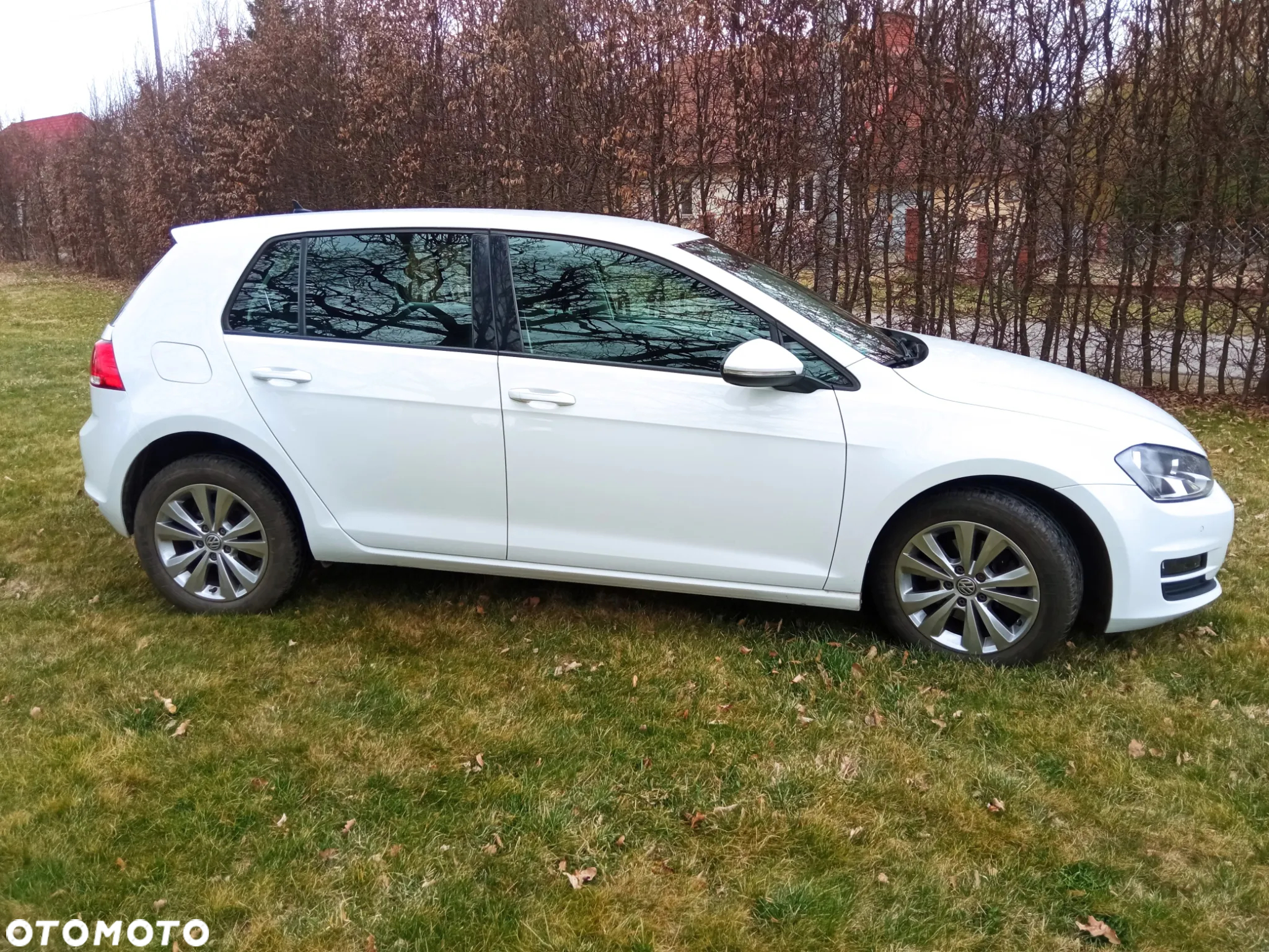 Volkswagen Golf - 6