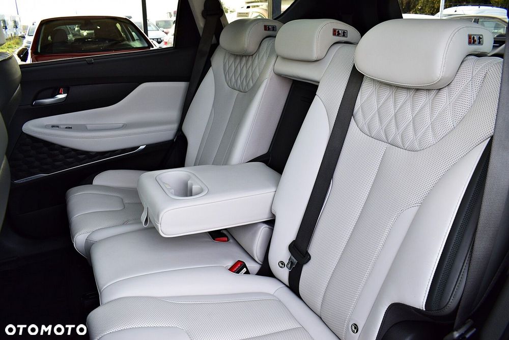 Hyundai Santa Fe - 17