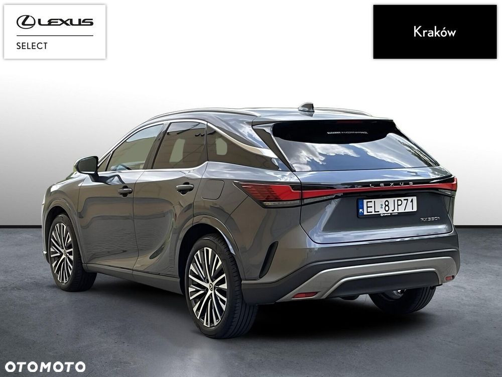 Lexus RX - 3