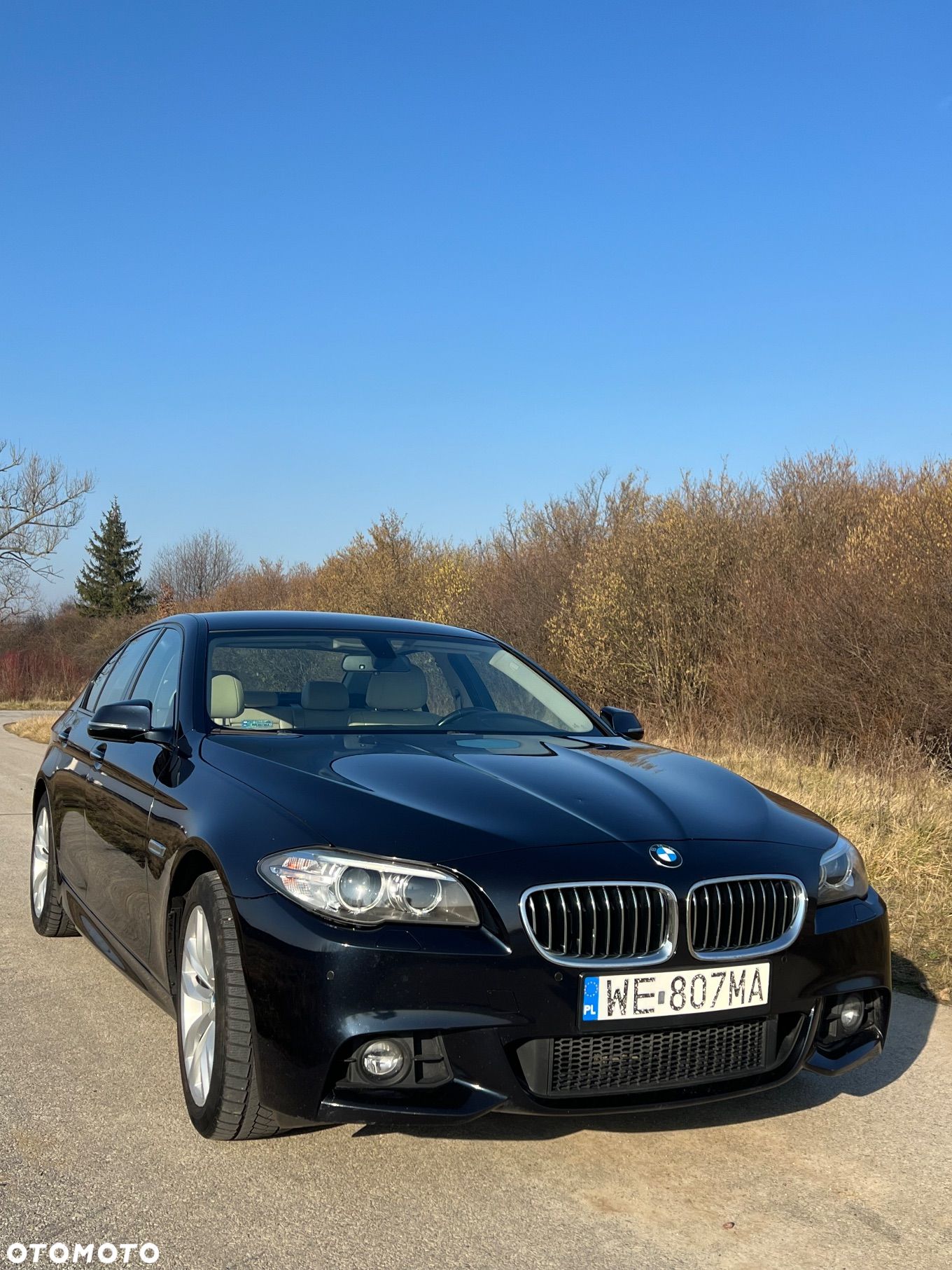 BMW Seria 5 520d xDrive - 1