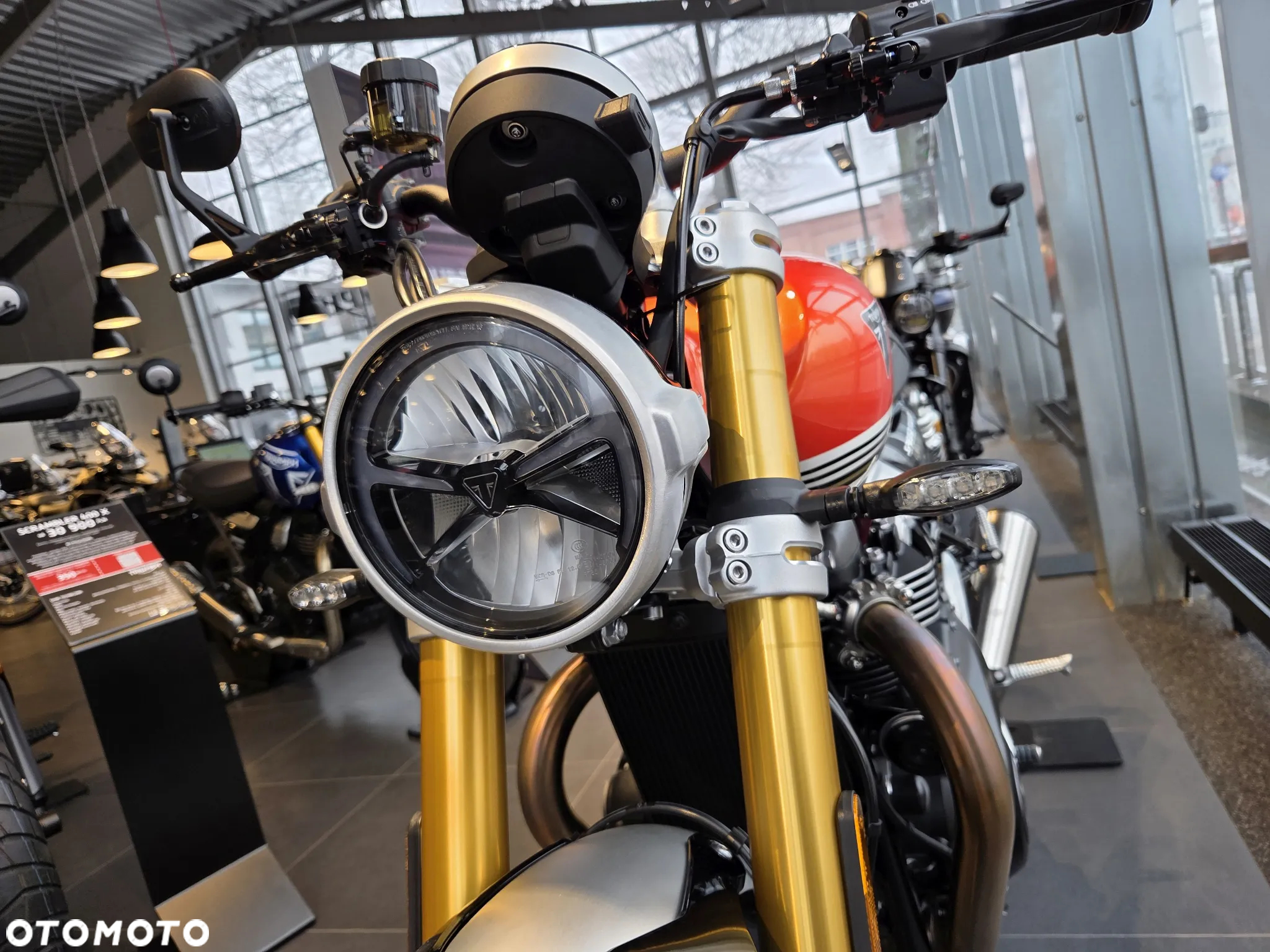 Triumph Speed Twin - 16