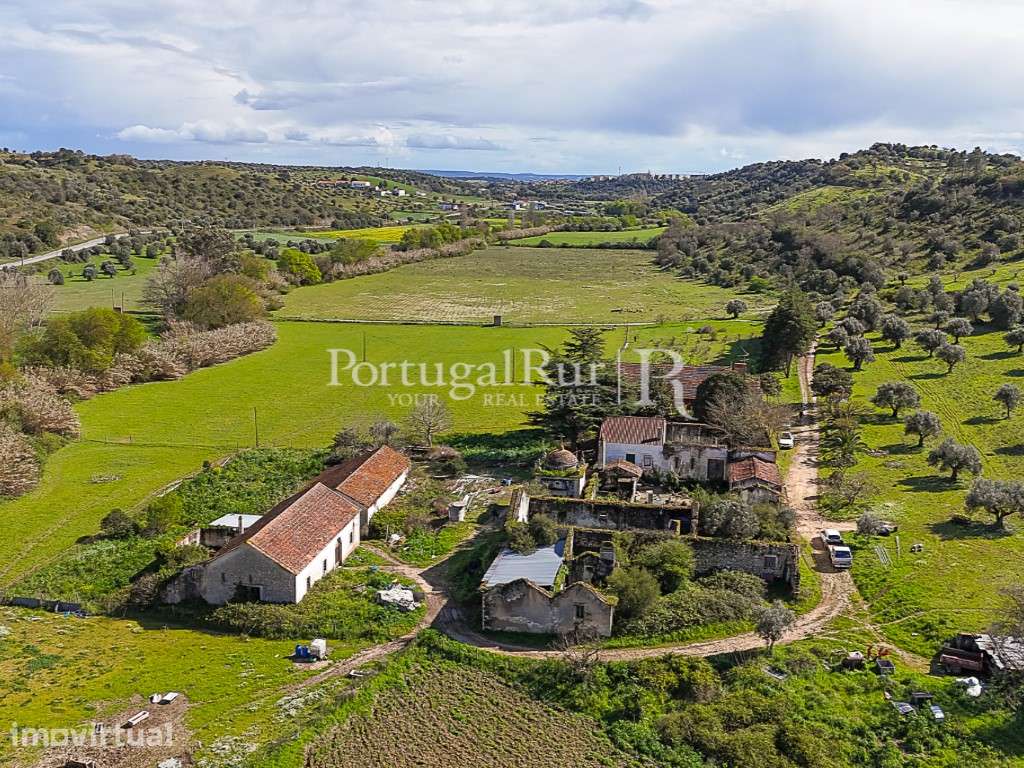 Quinta de 40 ha para Regadio com Casa Senhorial e Potencial Turístico - Grande imagem: 2/60
