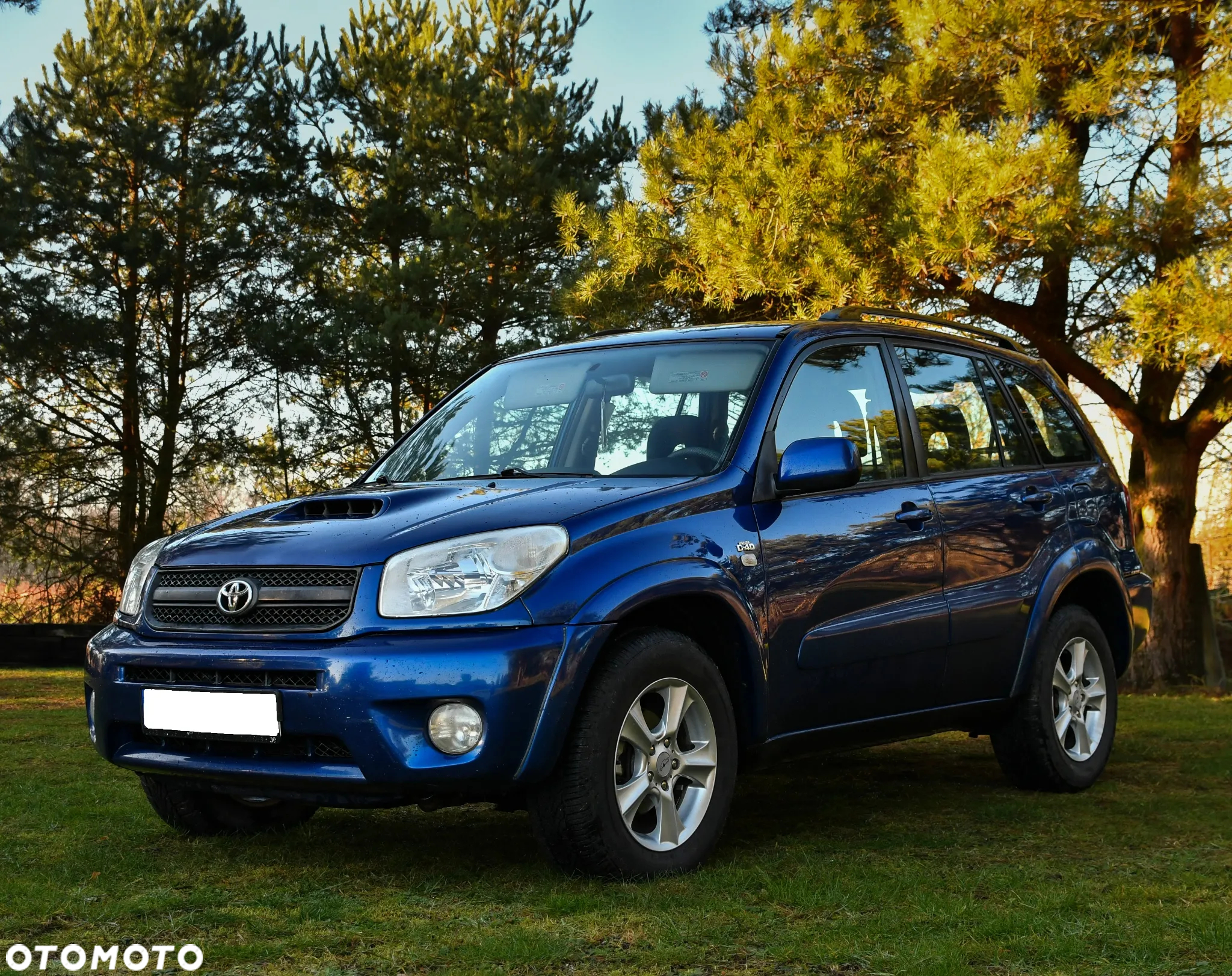 Toyota RAV4 2.0 D-4D 4x4 - 2