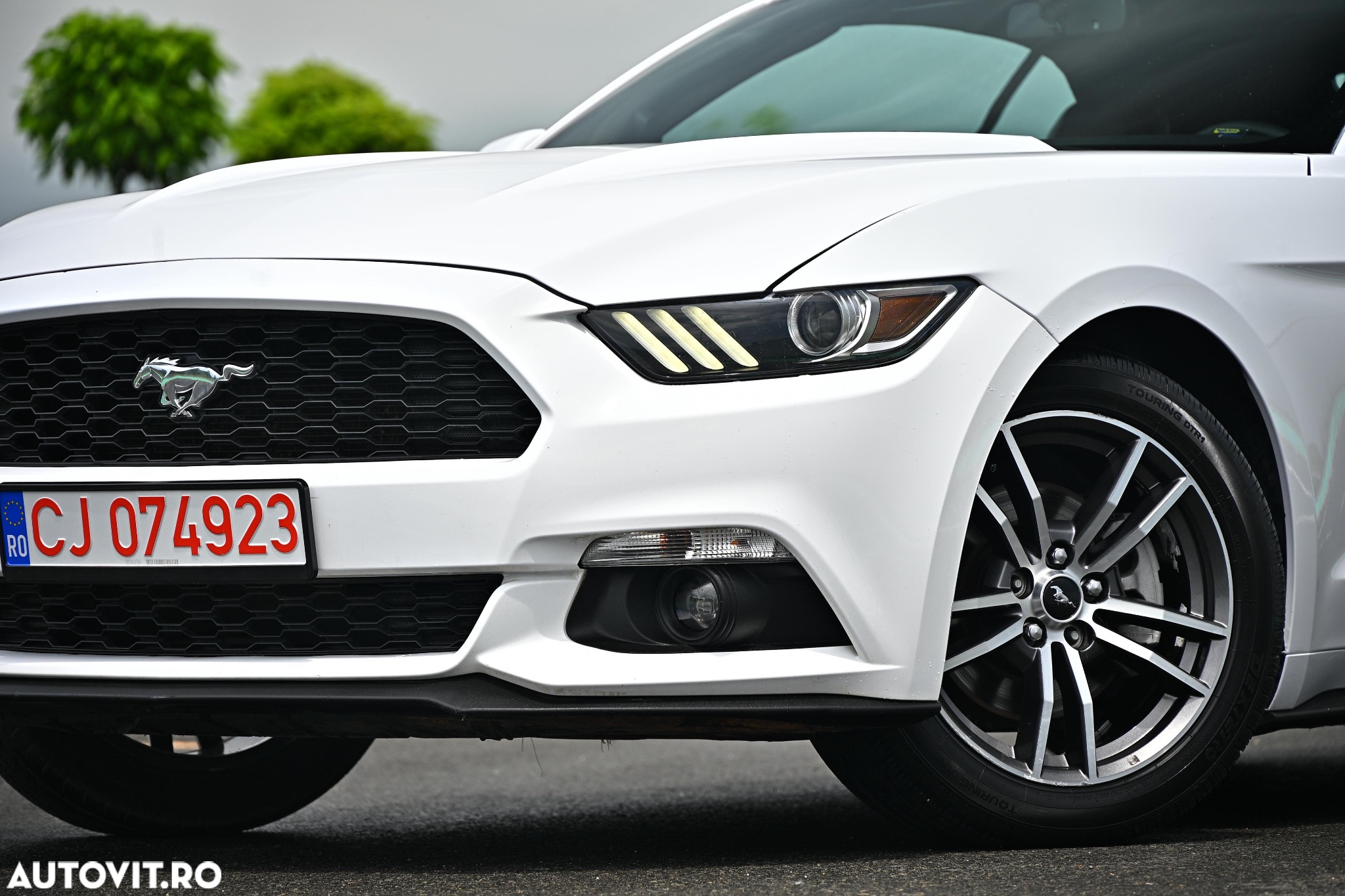 Ford Mustang Cabrio 2.3 Eco Boost - 12