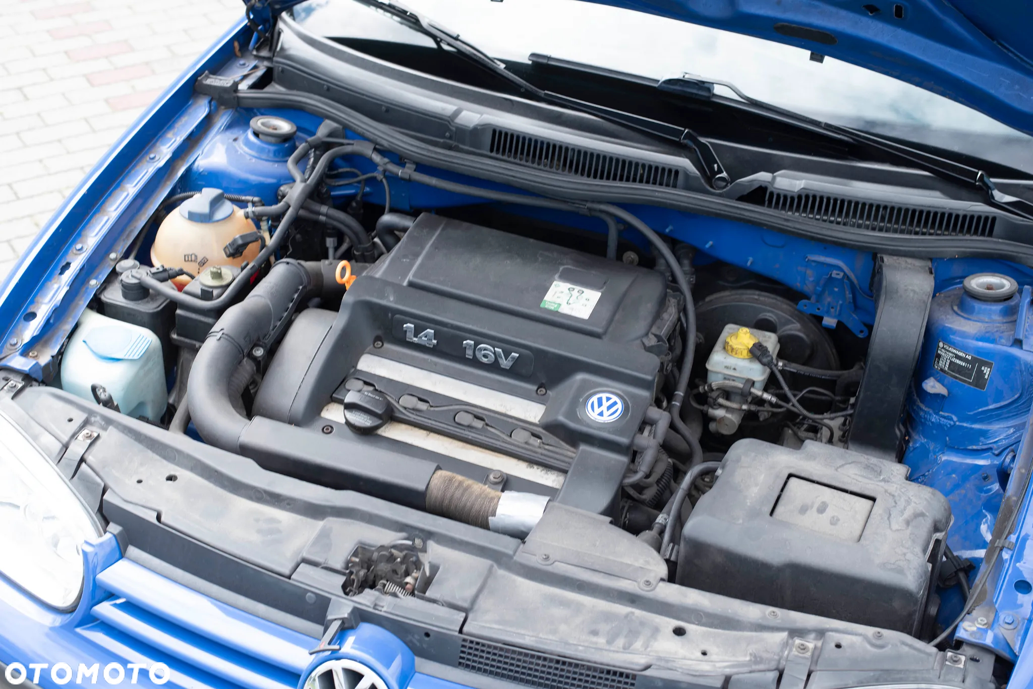 Volkswagen Golf IV 1.4 16V Comfortline - 13