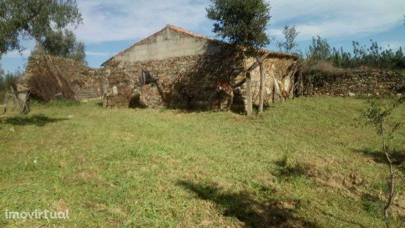 Quintinha (P. Autoestrada A23 Benquerenças -C. Branco) Sítio AZINHEIRA - Grande imagem: 2/10