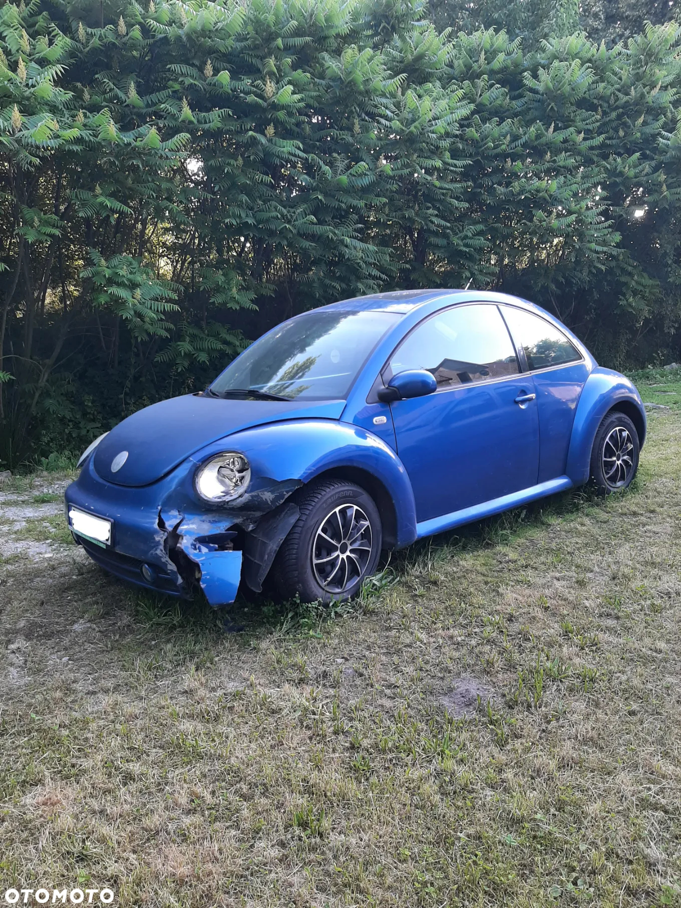 Volkswagen New Beetle 1.9 TDI - 3