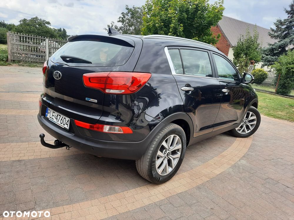 Kia Sportage - 3