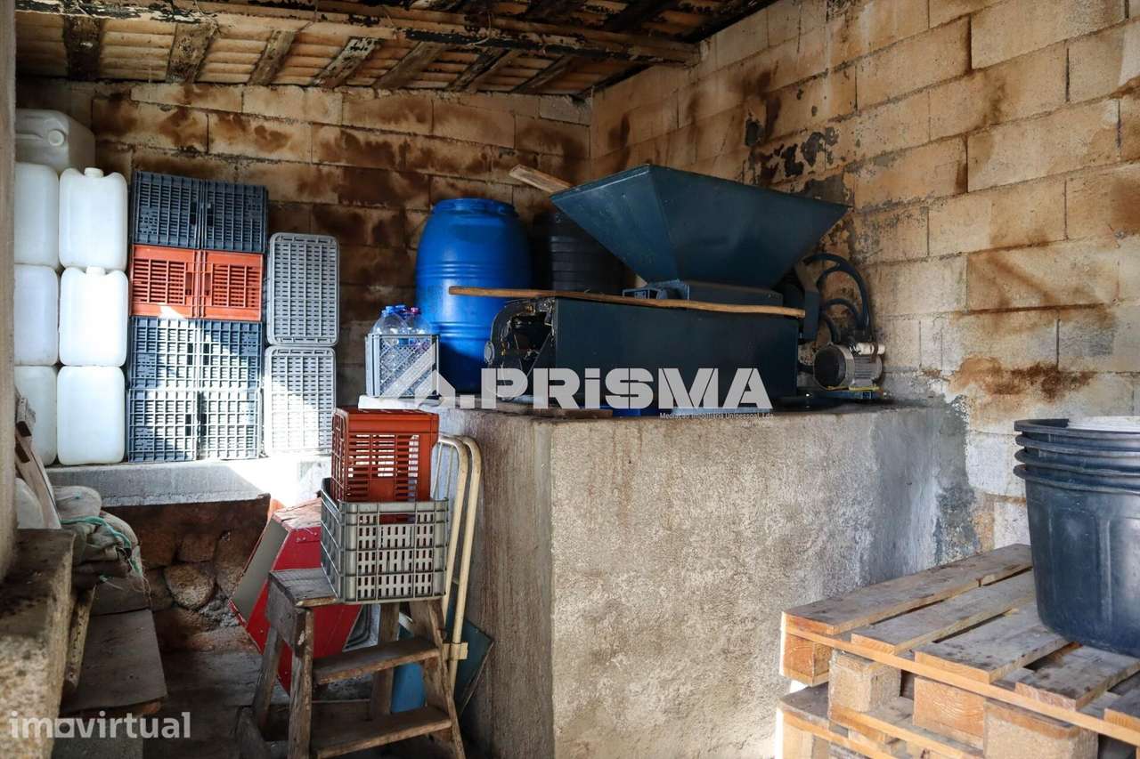 Quintinha para venda em Louriçal do Campo - Grande imagem: 3/49
