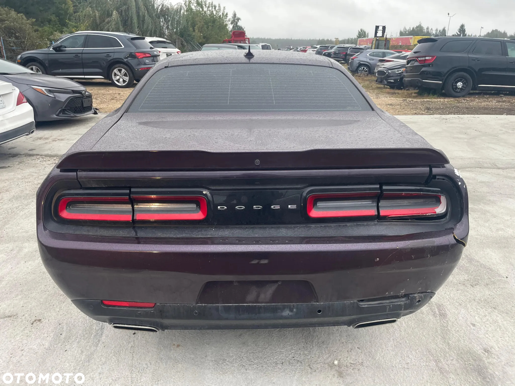 Dodge Challenger - 8