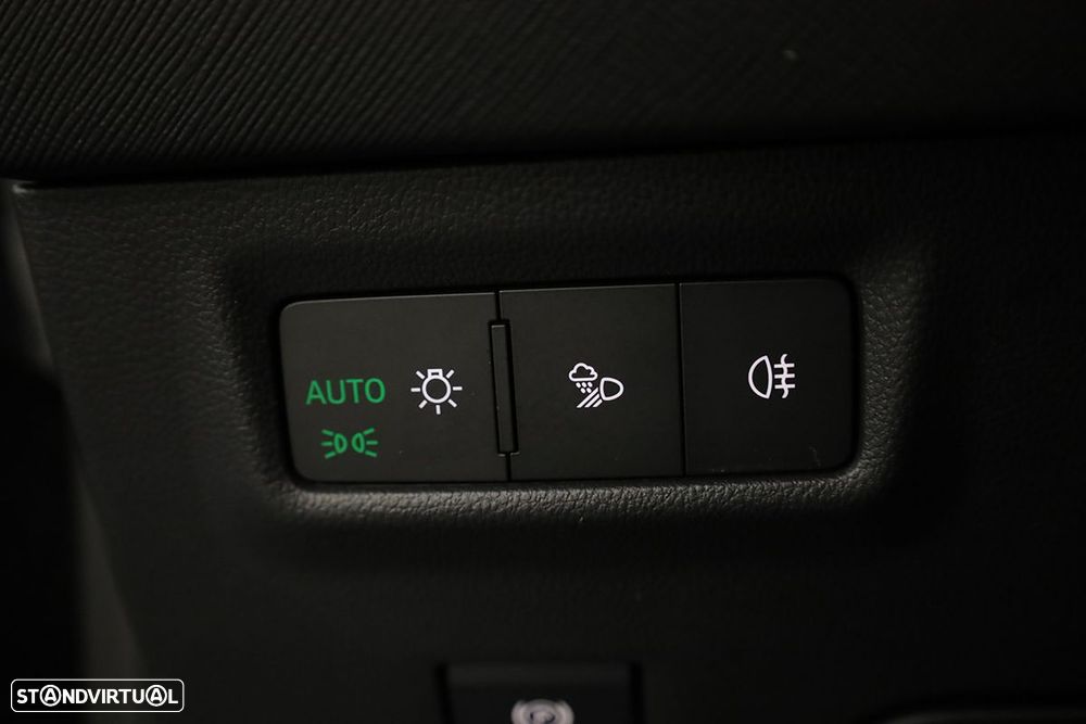 Skoda Kodiaq 2.0 TDI DSG - 17