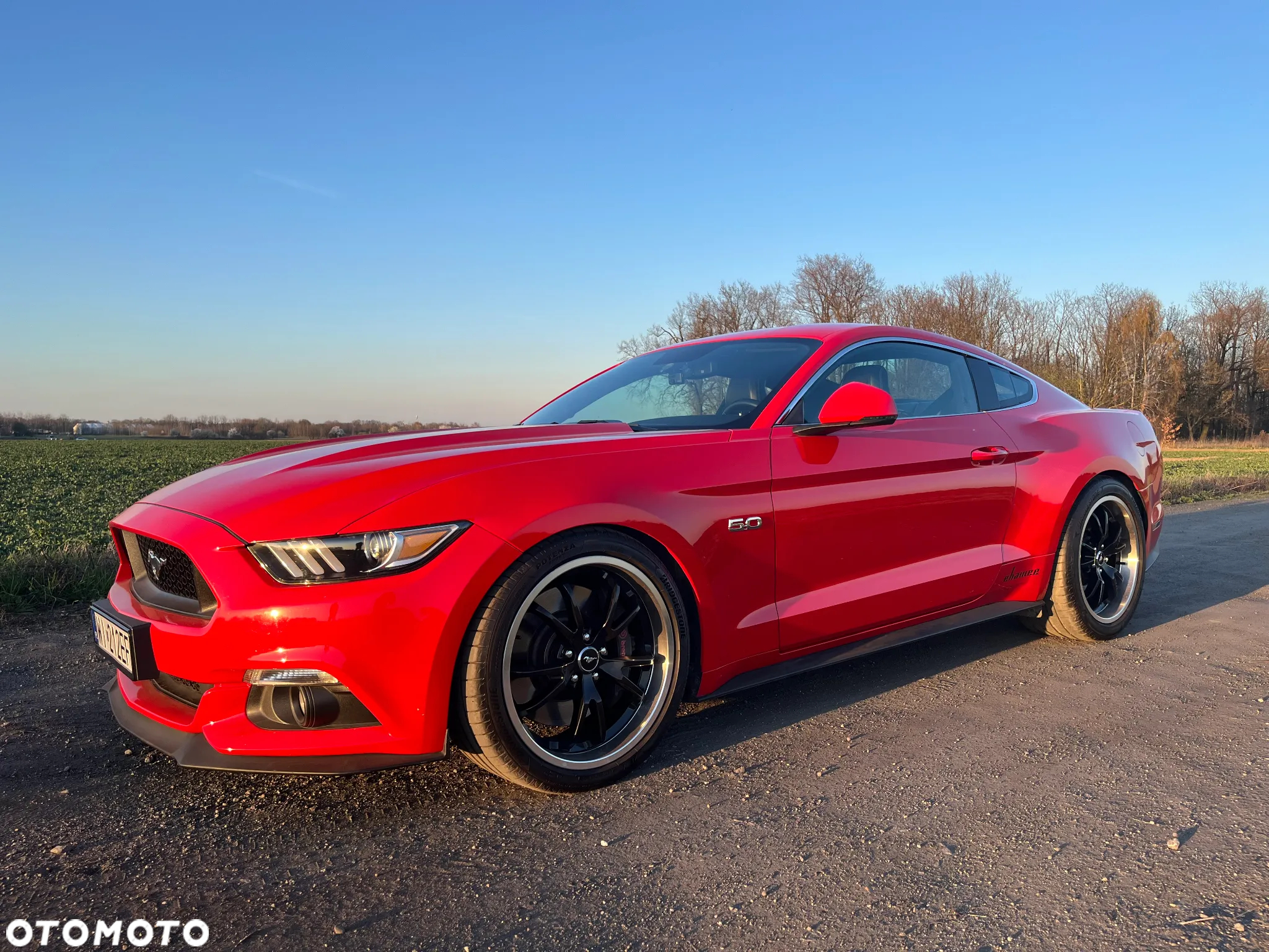 Ford Mustang 5.0 V8 GT - 4