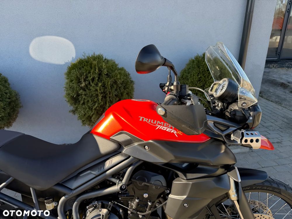 Triumph Tiger - 16