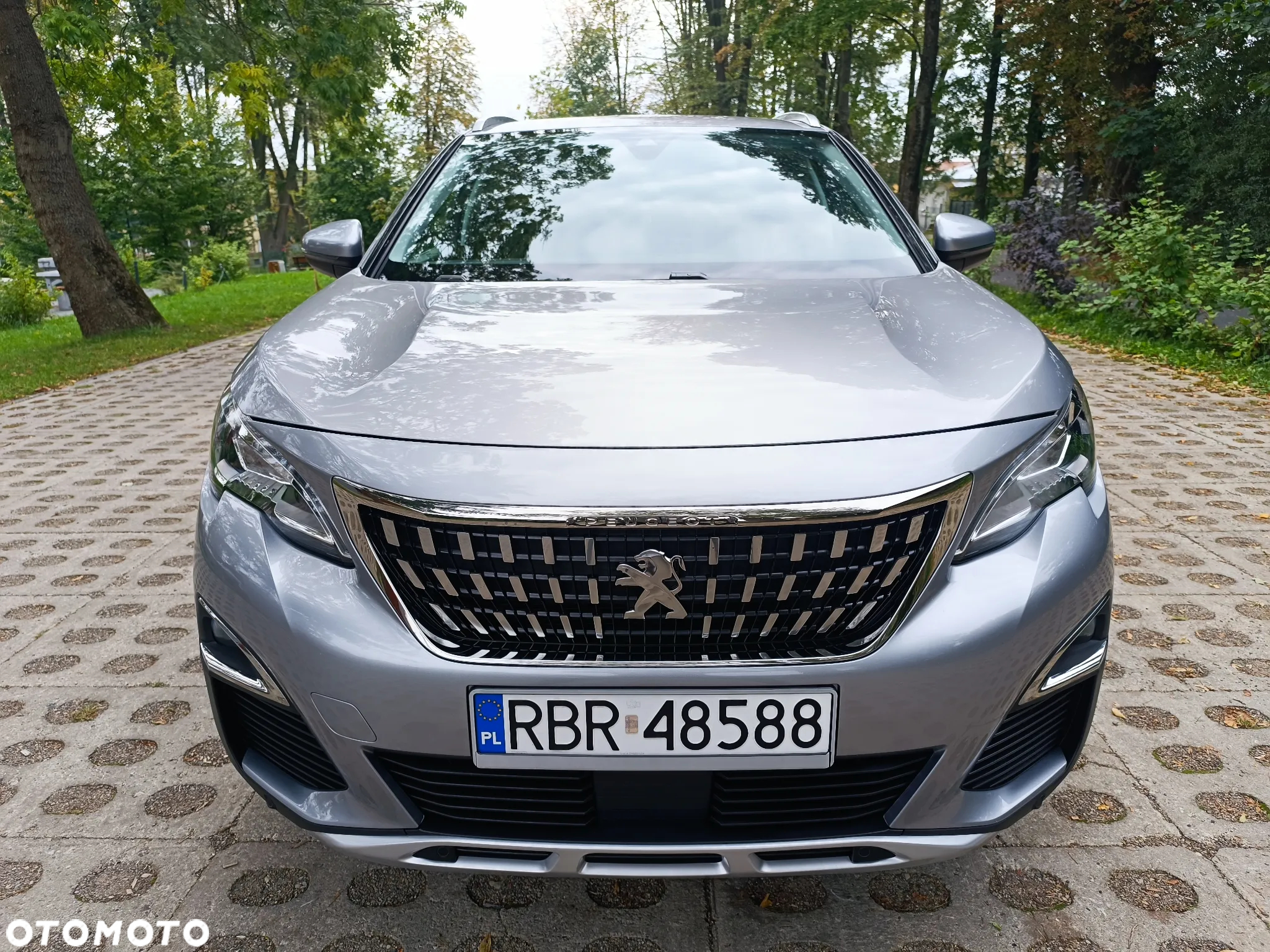 Peugeot 3008 - 19