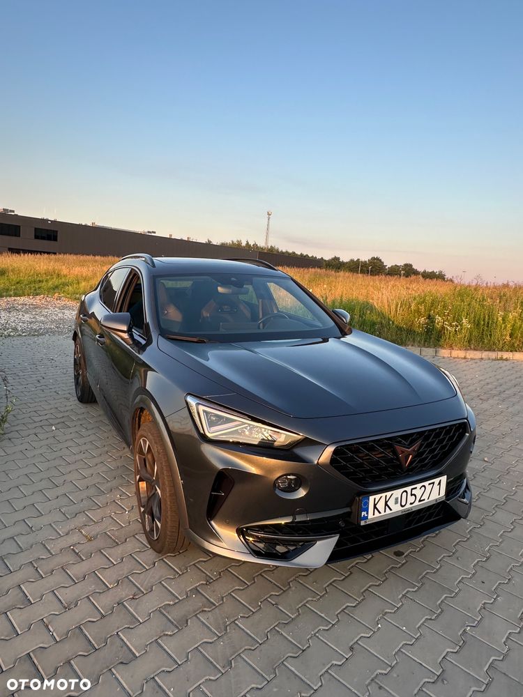 Cupra Formentor ver-1-5-tsi-dsg - 3