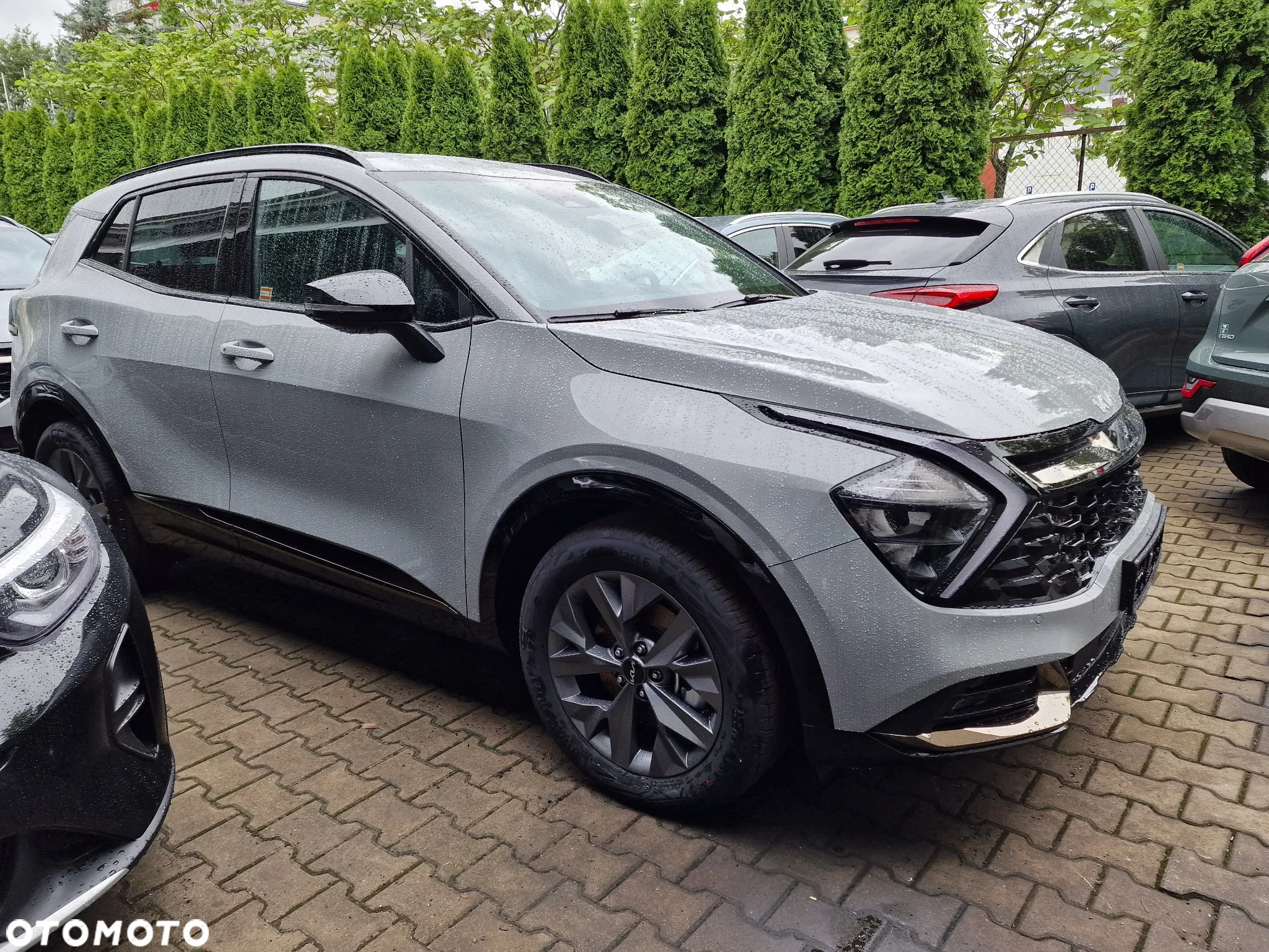 Kia Sportage 1.6 T-GDI HEV Anniversary 2WD - 4