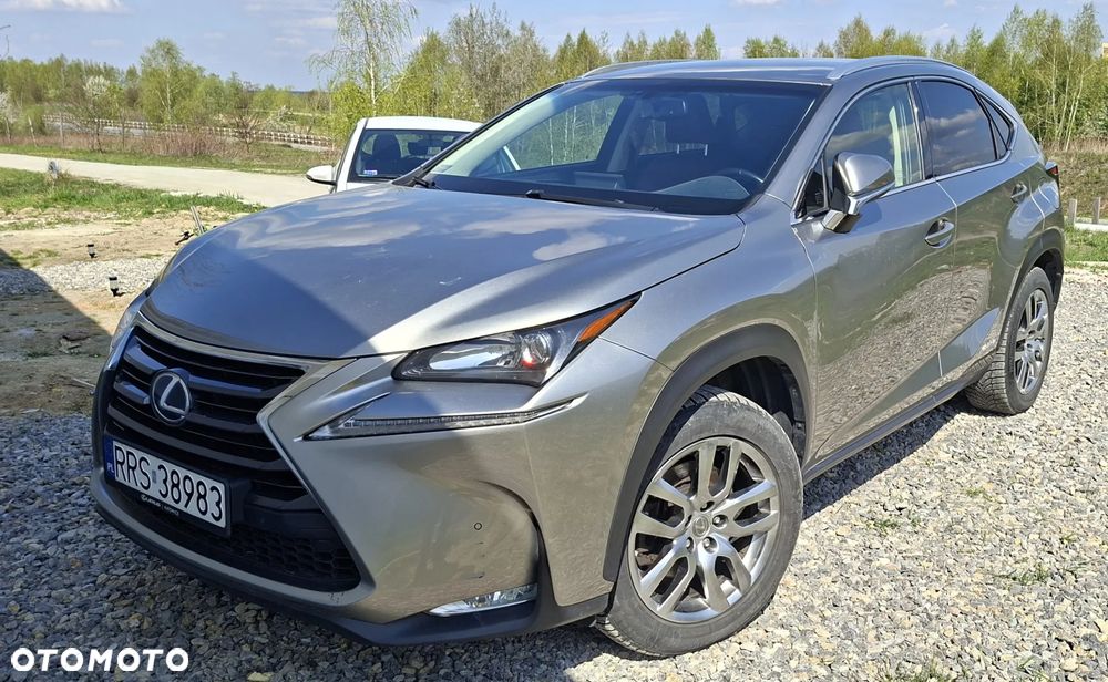 Lexus NX 300h Comfort AWD - 4