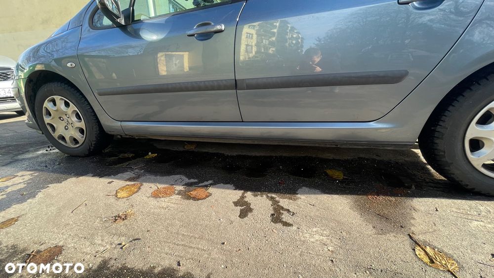 Peugeot 307 1.6 - 15