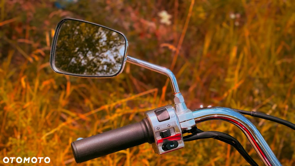 Kawasaki Vulcan - 25