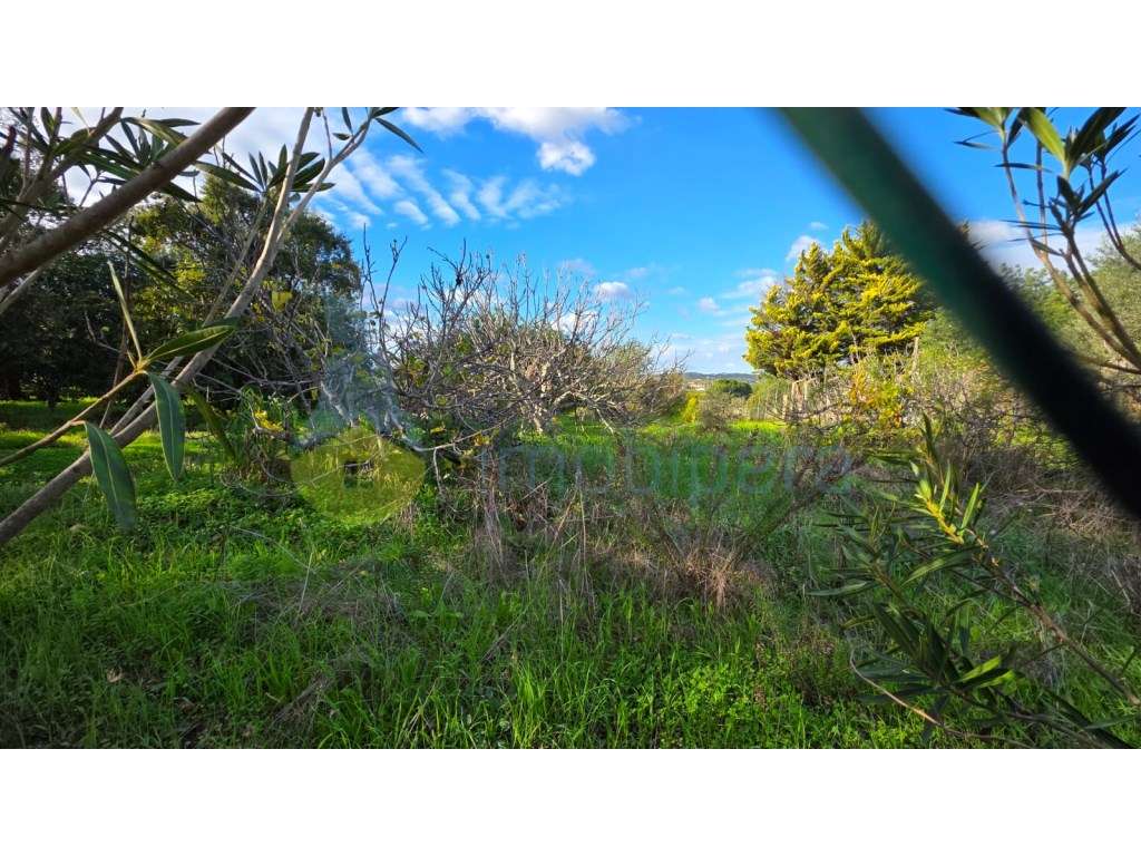 Terreno rústico à venda - Fonte de Louzeiros - Grande imagem: 2/9