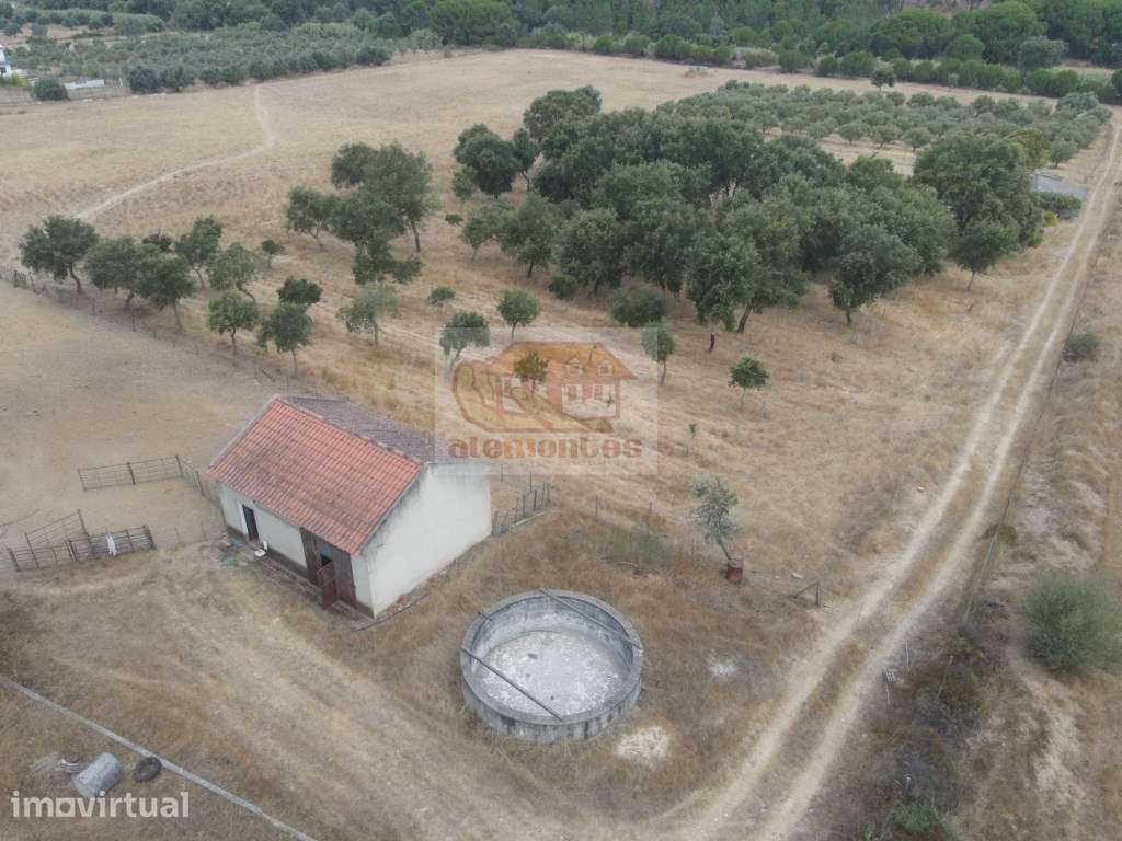 Propriedade Rústica de 8 Hectares em Melides - Excelente Oportunidade - Grande imagem: 3/19