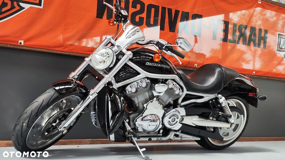 Harley-Davidson Softail V-Rod - 6