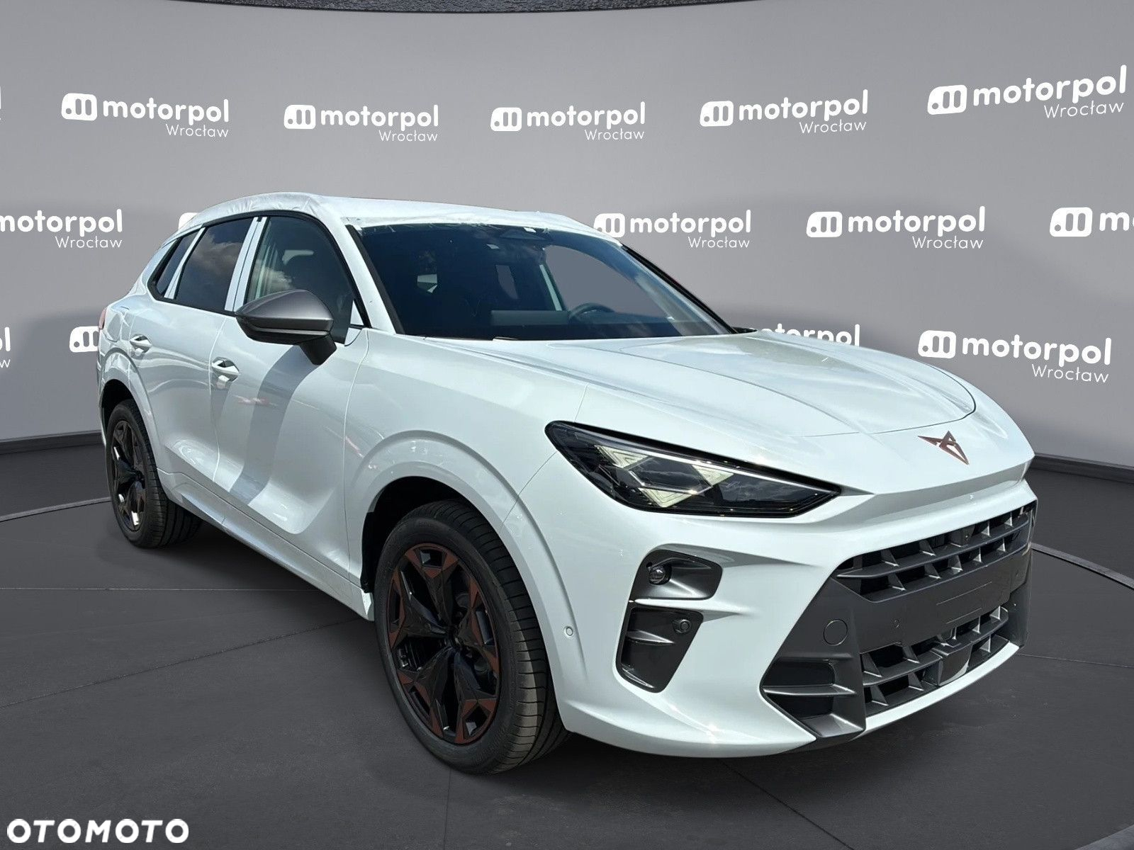 Cupra Terramar - 12