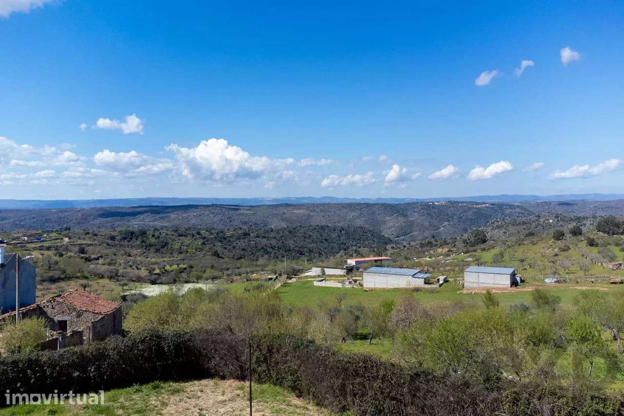 Retiro Rural Licenciado em Portugal com Rendimento Potencial - Grande imagem: 3/60
