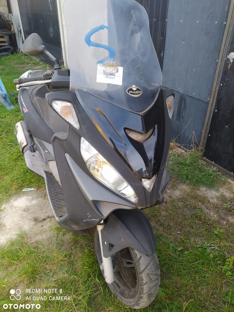 Malaguti Madison 3 125 cały na części silnik czasza lampa kokpit gaźnik - 1