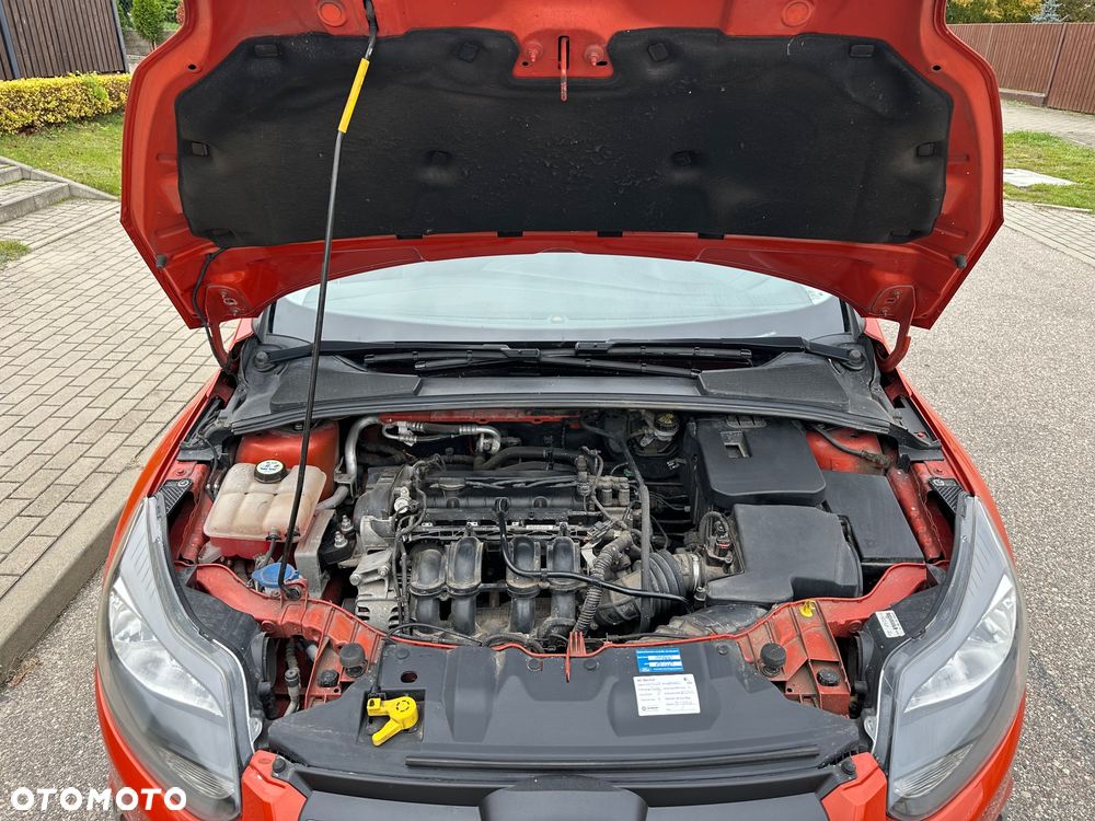 Ford Focus 1.6 TI-VCT Champions Edition - 24