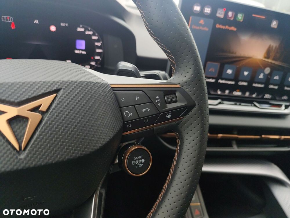 Cupra Terramar 2.0 TSI 4Drive VZ DSG - 22