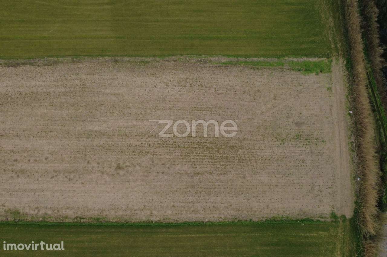 Terreno, 10 340 m², Capelas - Grande imagem: 5/18