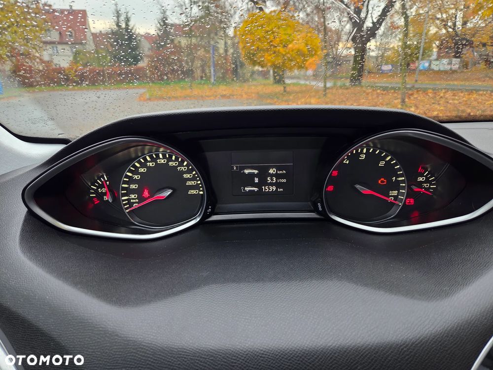 Peugeot 308 1.6 BlueHDi Active S&S - 19