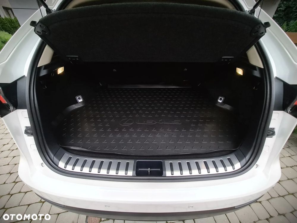 Lexus NX 300 - 13