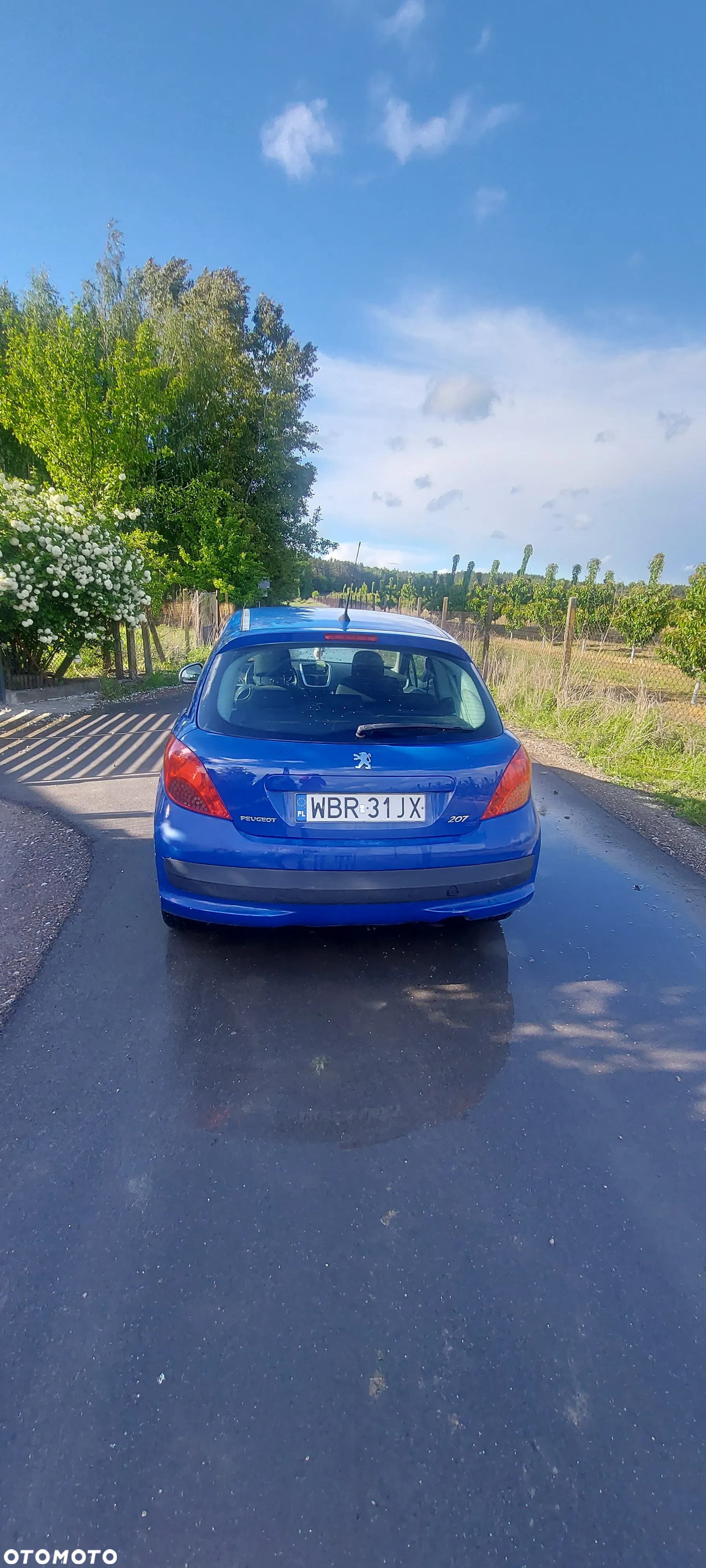 Peugeot 207 - 5
