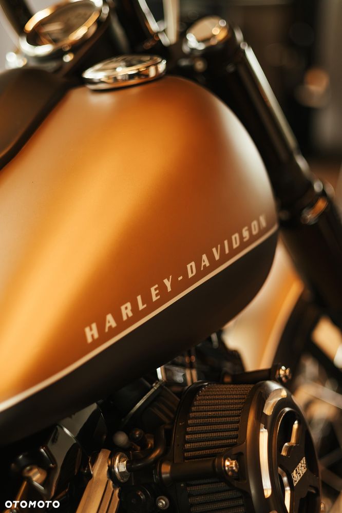 Harley-Davidson Softail Blackline - 18