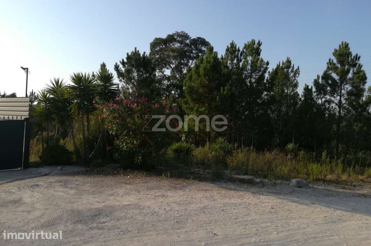 Terreno com 3445m2 na Maceira - Grande imagem: 4/17