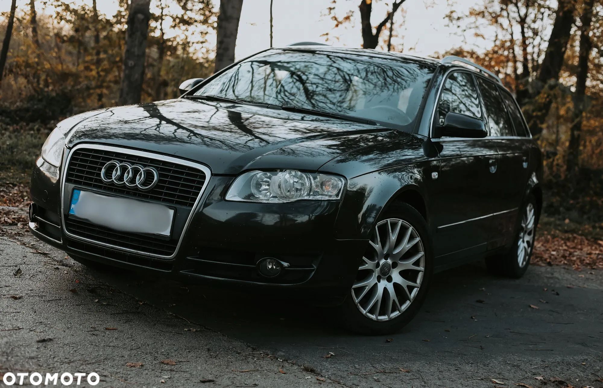 Audi A4 Avant 2.0 TDI - 1