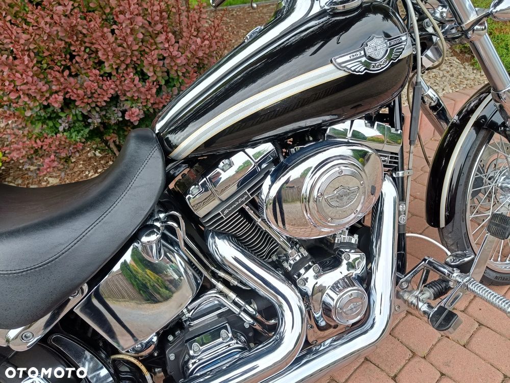 Harley-Davidson Softail - 13