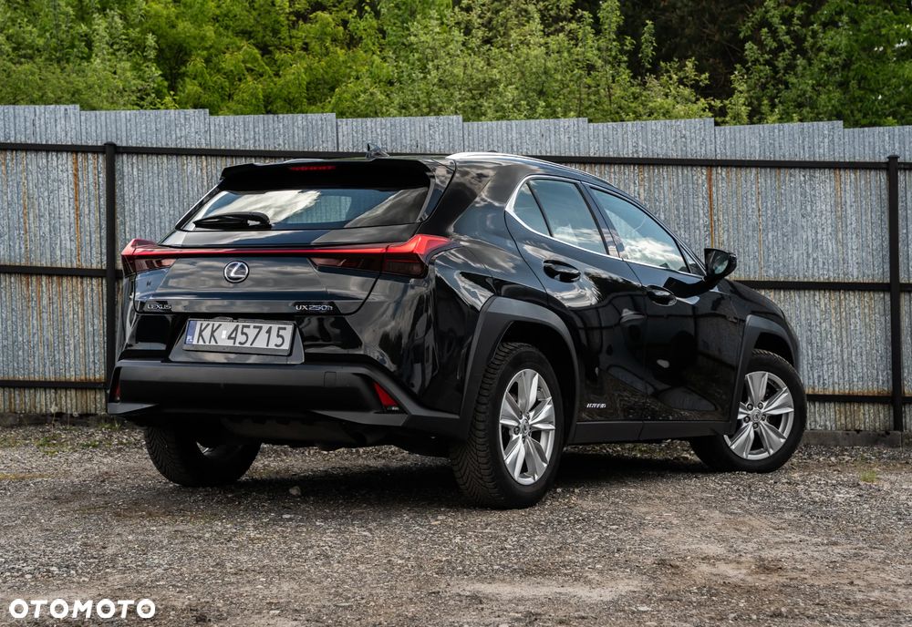 Lexus UX - 6