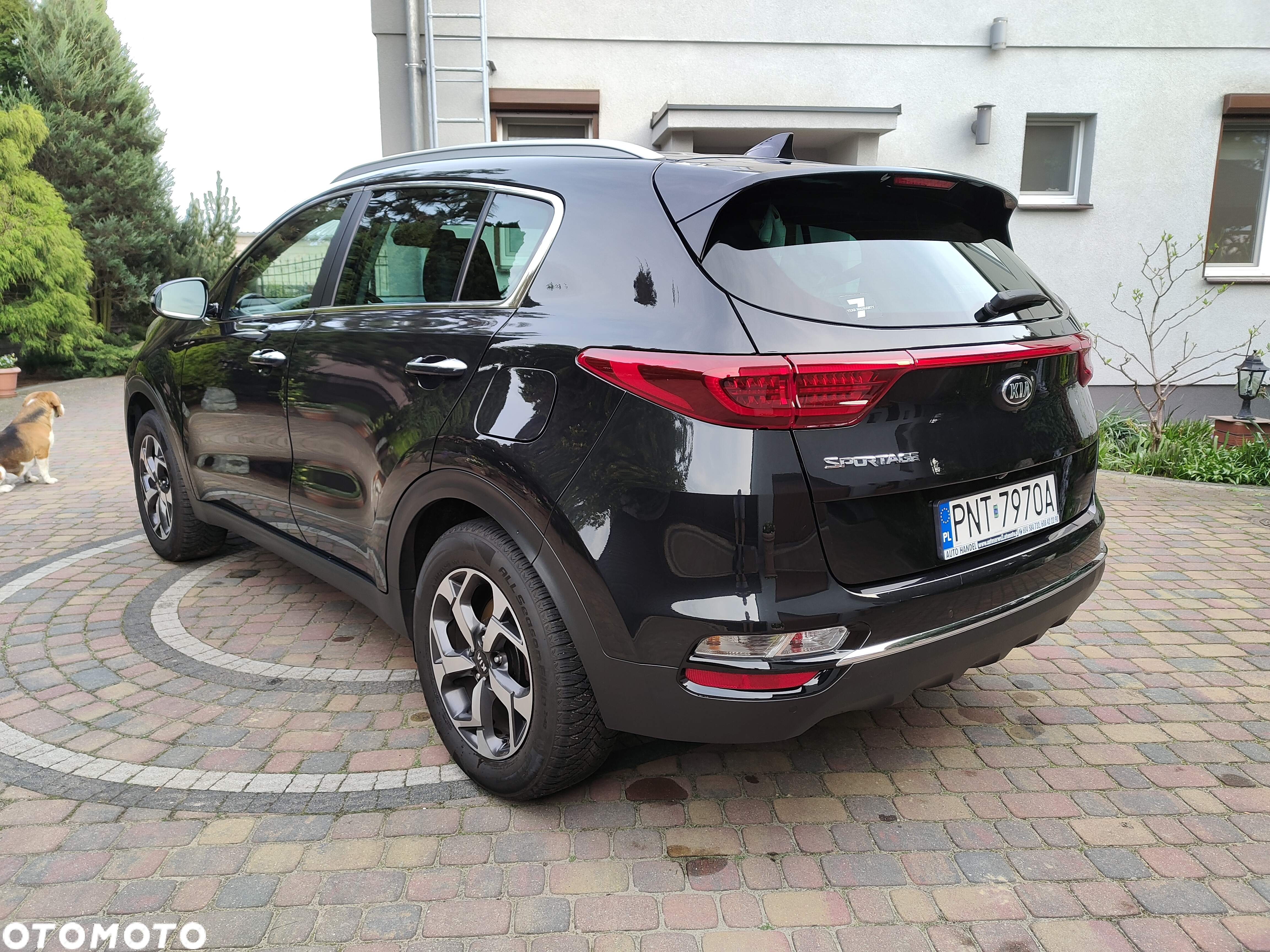 Kia Sportage 1.6 GDI L Business Line 2WD - 8