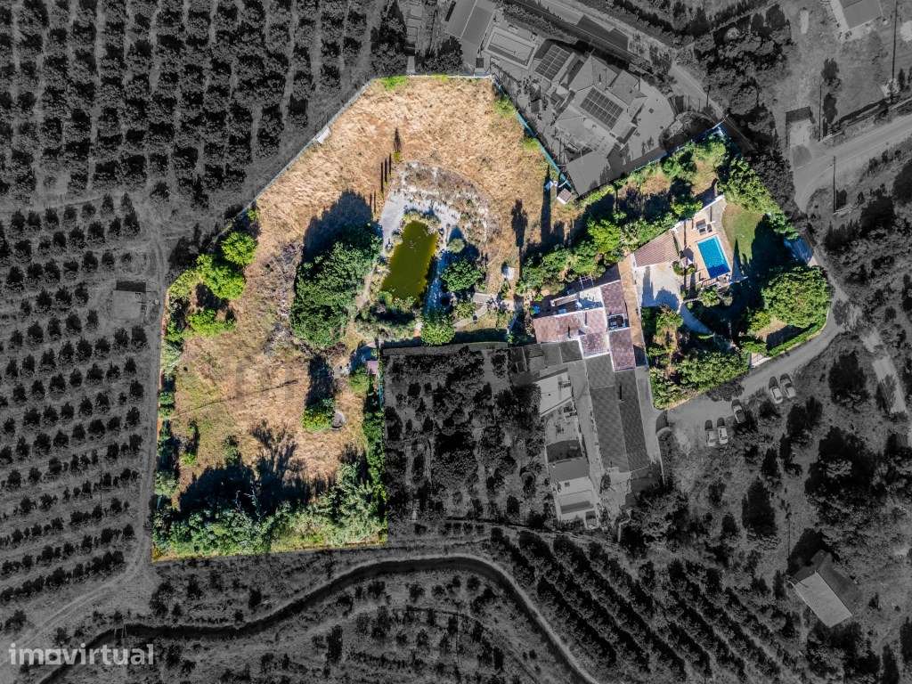 Quinta T3 Renovada com Piscina entre Lagoa e Silves - Grande imagem: 3/40