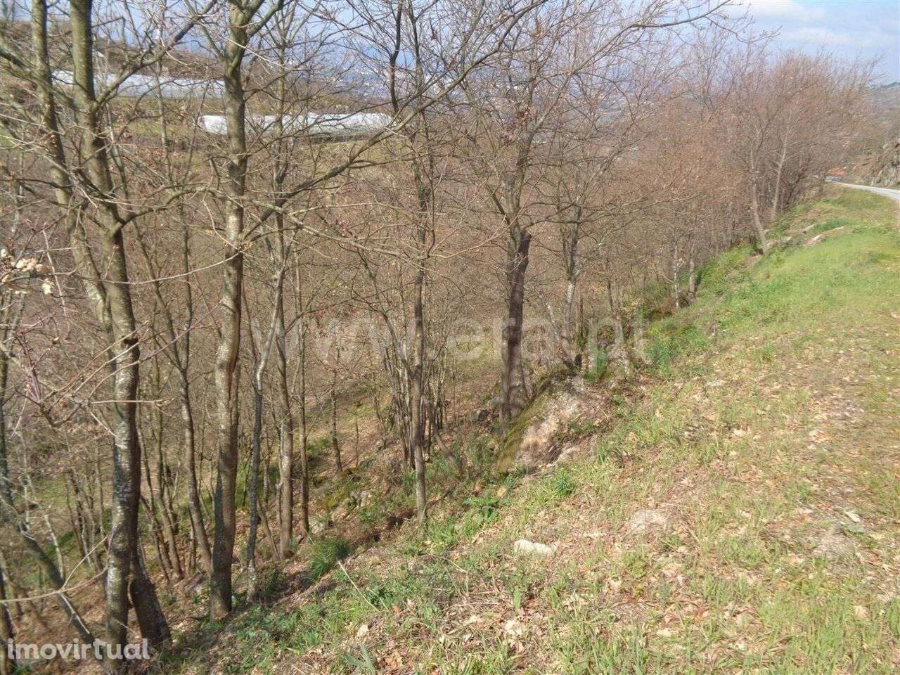 Terreno / Marco de Canaveses, Soalhães - Grande imagem: 3/6